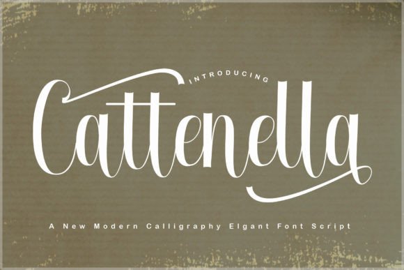 Cattenella Font: Elevate Your Digital Campaigns with Stylish Script Typography