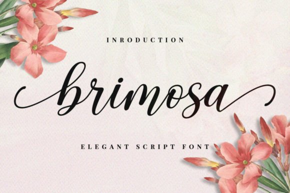 Elegant Typography with Brimosa: A Designer’s Real Branding Journey