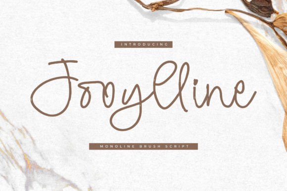 Jooylline: A Modern Script Font for Elegant Web Design