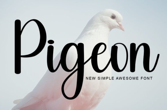 Pigeon: A Designer’s Take on Script Amp’s Latest Typeface