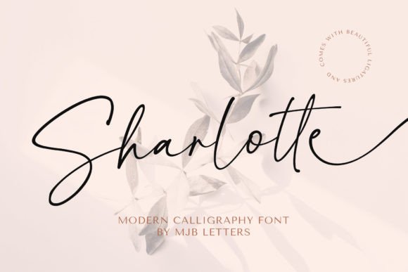 Sharlotte: The Script Font That Elevates Campaign Visuals with Personality
